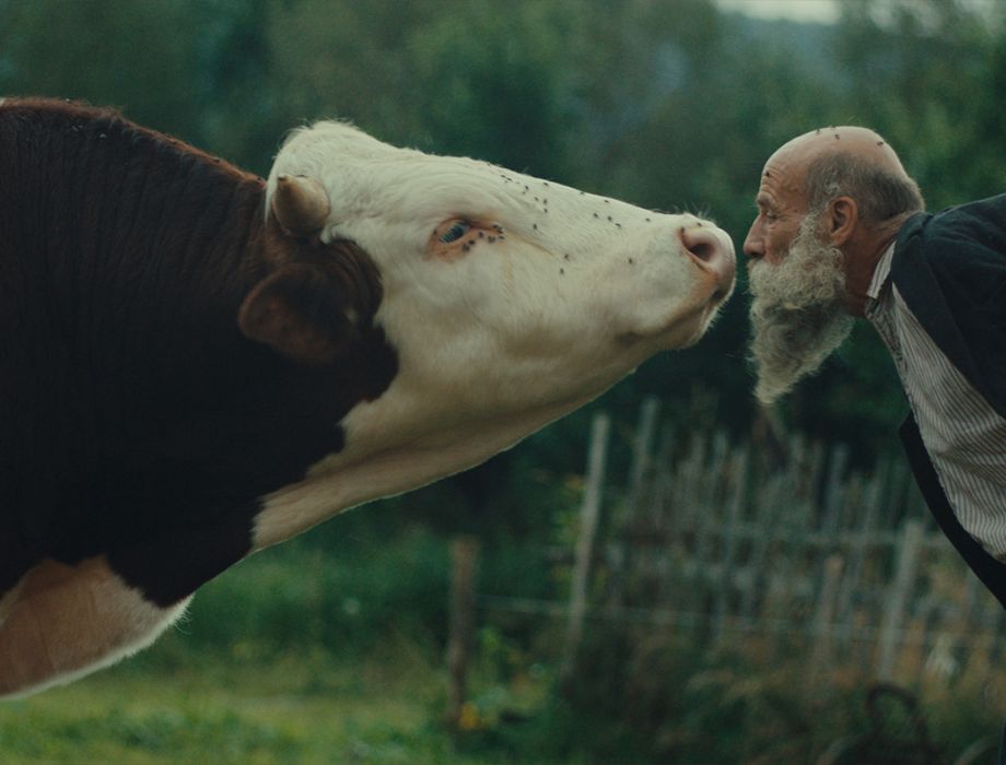 Radeji-zesilt-v-divocine_Photo_&copy;_Arsy_Versy_nutprodukce